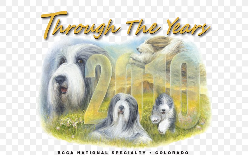 Bearded Collie Dog Breed Rough Collie Old English Sheepdog Basset Hound, PNG, 650x513px, Bearded Collie, Basset Hound, Breed, Carnivoran, Collie Download Free