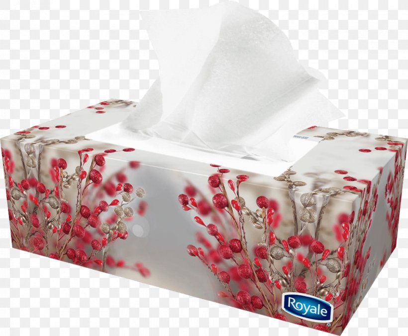 Facial Tissues Toilet Paper Royale Handkerchief, PNG, 969x801px, Facial Tissues, Box, Cloth Napkins, Coupon, Gift Download Free