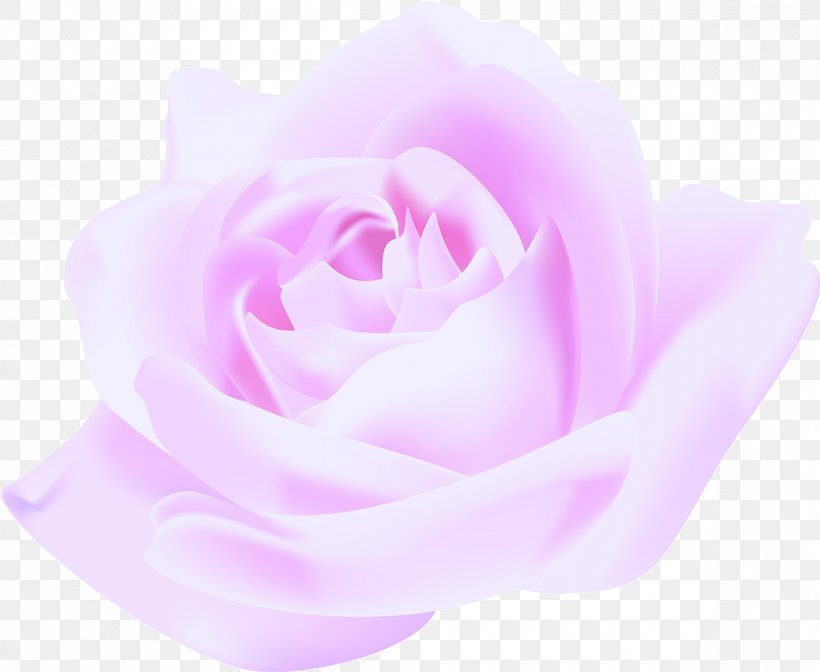 Flower Pink Violet Magenta, PNG, 1200x984px, Flower, Beige, Close Up, Color, Flowering Plant Download Free