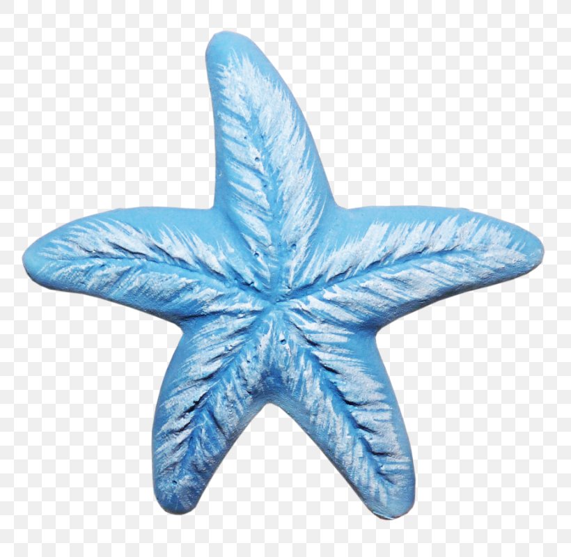 Starfish Linckia Laevigata, PNG, 800x800px, Starfish, Blue, Cobalt Blue, Designer, Echinoderm Download Free