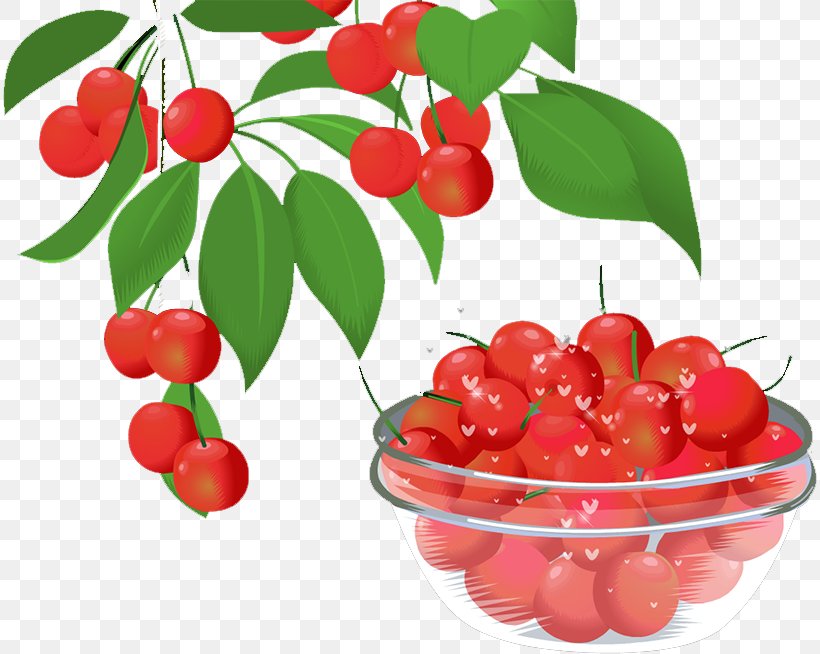 Barbados Cherry Lingonberry Cranberry Food, PNG, 814x654px, Barbados Cherry, Acerola, Acerola Family, Berry, Cherry Download Free