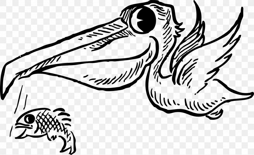 Bird Cartoon Brown Pelican Clip Art, PNG, 1920x1174px, Bird, Artwork, Beak, Black, Black And White Download Free