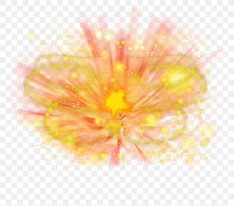 Desktop Wallpaper Close-up Computer, PNG, 1091x963px, Closeup, Close Up, Computer, Flower, Flowering Plant Download Free