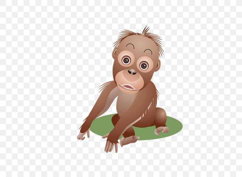 Monkey Orangutan Baby Primate, PNG, 800x600px, Monkey, Animal, Carnivoran, Gorilla, Homo Sapiens Download Free