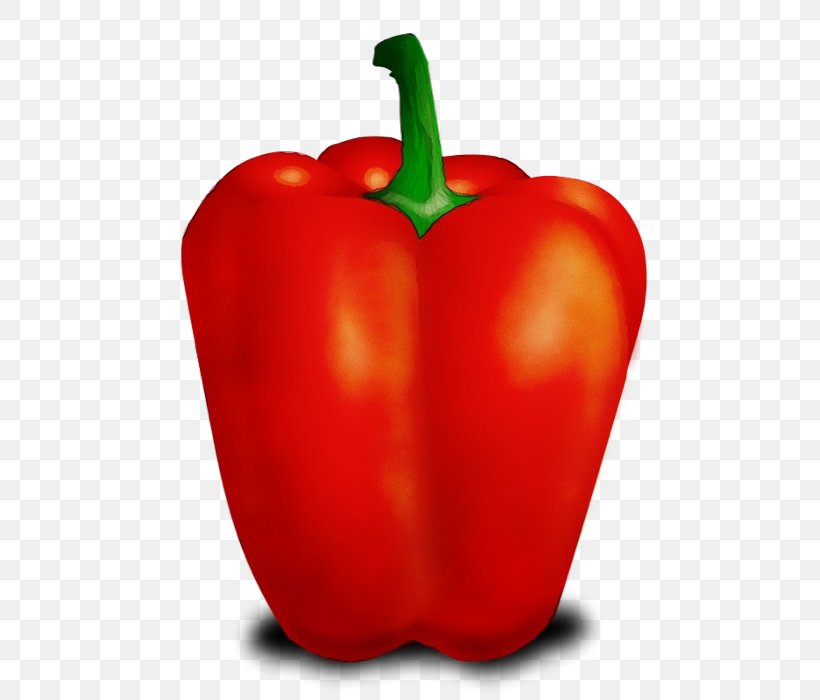 Natural Foods Bell Pepper Pimiento Bell Peppers And Chili Peppers Capsicum, PNG, 507x700px, Watercolor, Bell Pepper, Bell Peppers And Chili Peppers, Capsicum, Food Download Free
