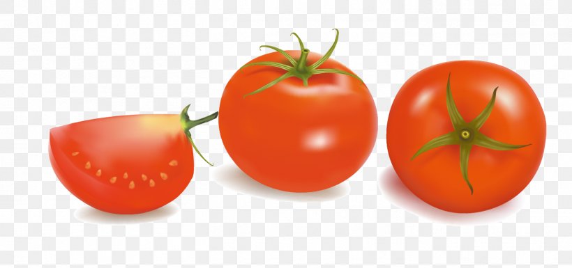 Plum Tomato Bush Tomato Vegetable, PNG, 1406x661px, Plum Tomato, Bush Tomato, Diet Food, Food, Fruit Download Free