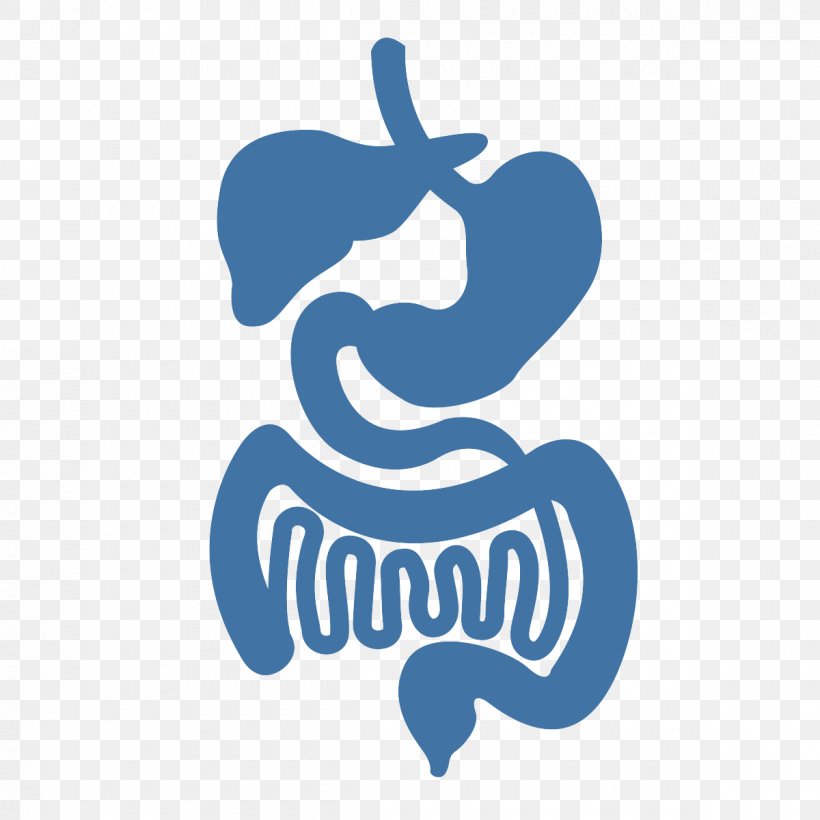 Gastrointestinal Tract Large Intestine Gastrointestinal Disease Human Digestive System Medicine, PNG, 1200x1200px, Gastrointestinal Tract, Appendicitis, Brand, Digestion, Digestive System Surgery Download Free