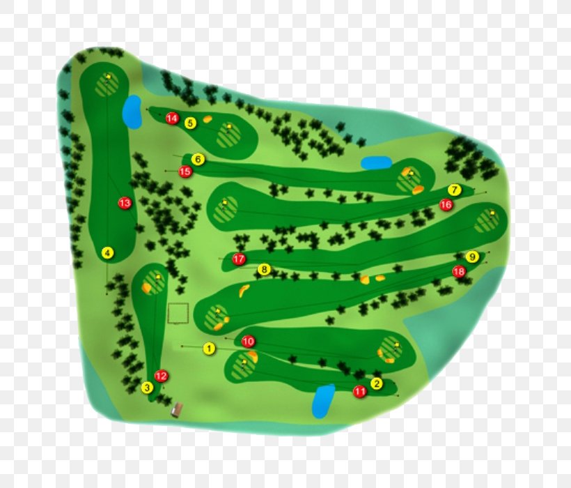 Golf Course Hole Golf Tees Sport, PNG, 800x700px, Golf Course, Golf, Golf Tees, Grass, Green Download Free