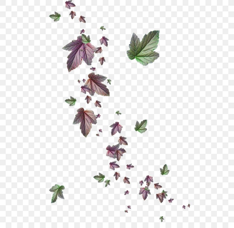 Магия зимы Petal Leaf Vinegar Valentines Plant Stem, PNG, 514x800px, Petal, Branch, Butterfly, Chemical Element, Flora Download Free