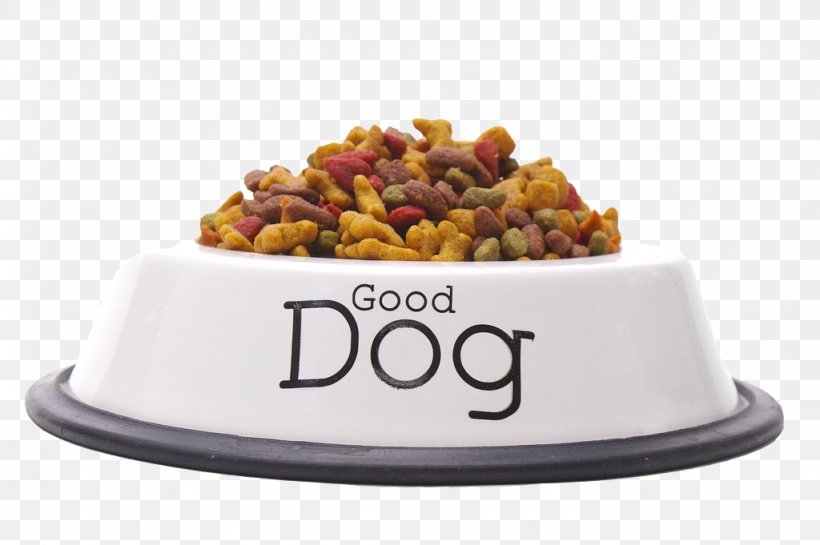 A Bowl Of Dog Food, PNG, 1024x681px, Labrador Retriever, Bowl, Dog, Dog Biscuit, Dog Breed Download Free