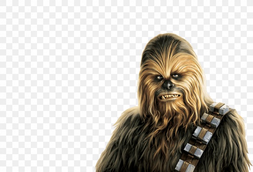 Chewbacca Anakin Skywalker Yoda Leia Organa C-3PO, PNG, 980x668px, Chewbacca, Anakin Skywalker, Chewbacca Mask Lady, Finn, Fur Download Free