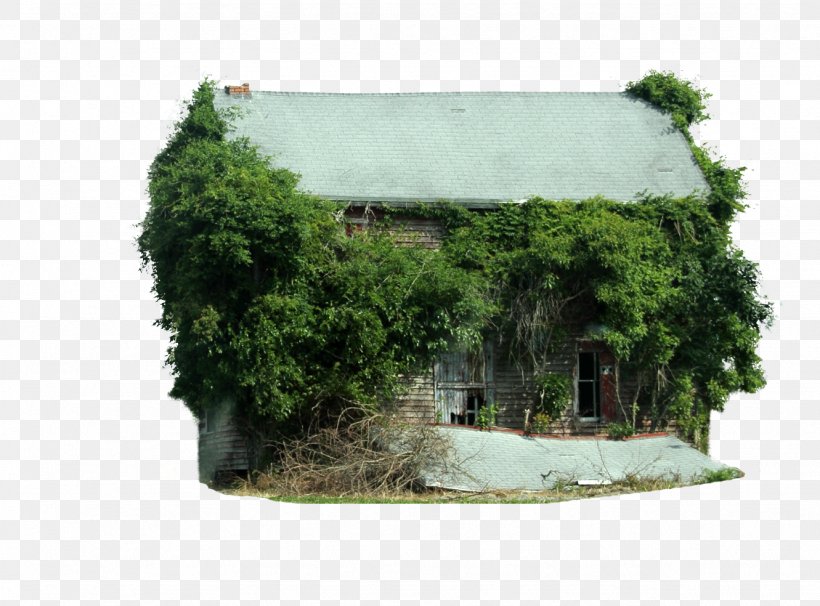 Computer Software Tree House, PNG, 1331x984px, Computer Software, Barn, Clipping Path, Coreldraw, Cottage Download Free