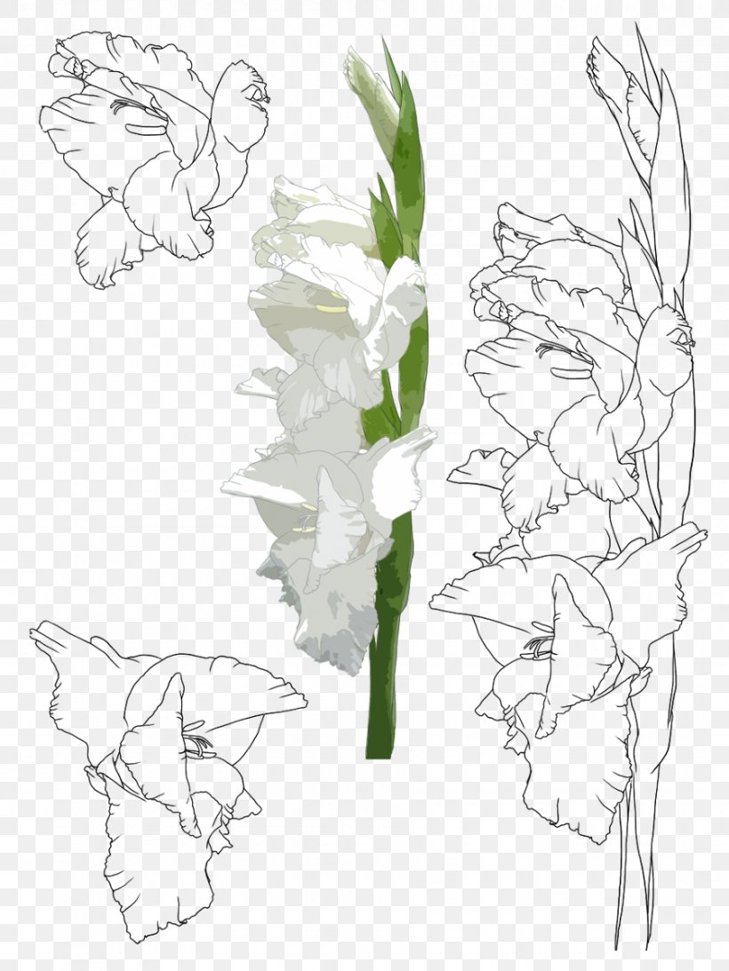 Floral Design Flower Gladiolus Xd7gandavensis Painting Illustration, PNG, 900x1200px, Floral Design, Art, Artwork, Black And White, Branch Download Free