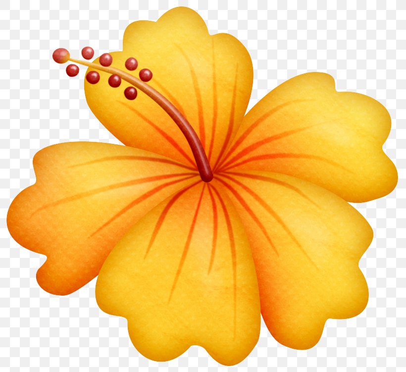 Hawaiian Hibiscus Hibiscus Yellow Petal Flower, PNG, 810x750px, Hawaiian Hibiscus, Flower, Flowering Plant, Hibiscus, Leaf Download Free