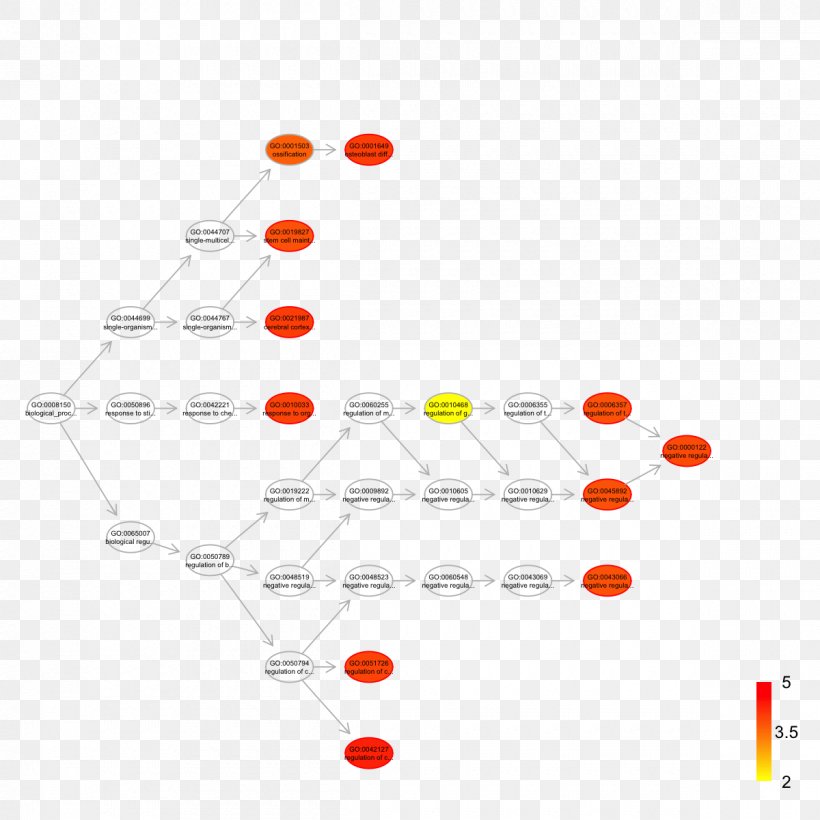 Line Point Diagram, PNG, 1200x1200px, Point, Diagram, Orange, Text Download Free