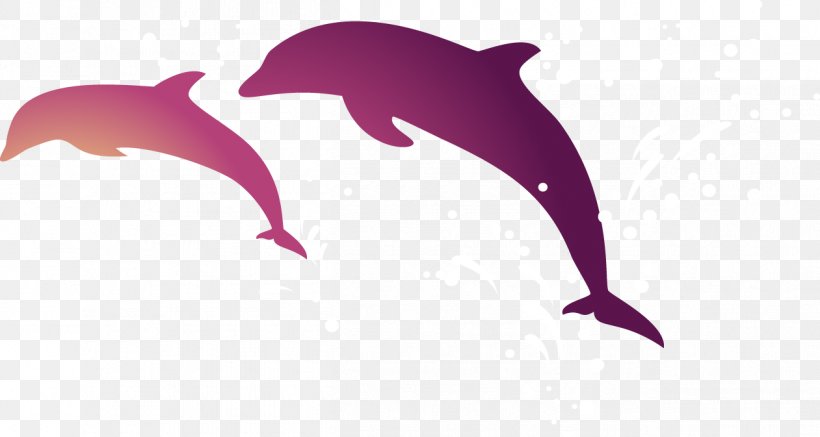 Tucuxi Short-beaked Common Dolphin Android Wallpaper, PNG, 1261x673px, Tucuxi, Android, Android Application Package, App Store, Dolphin Download Free