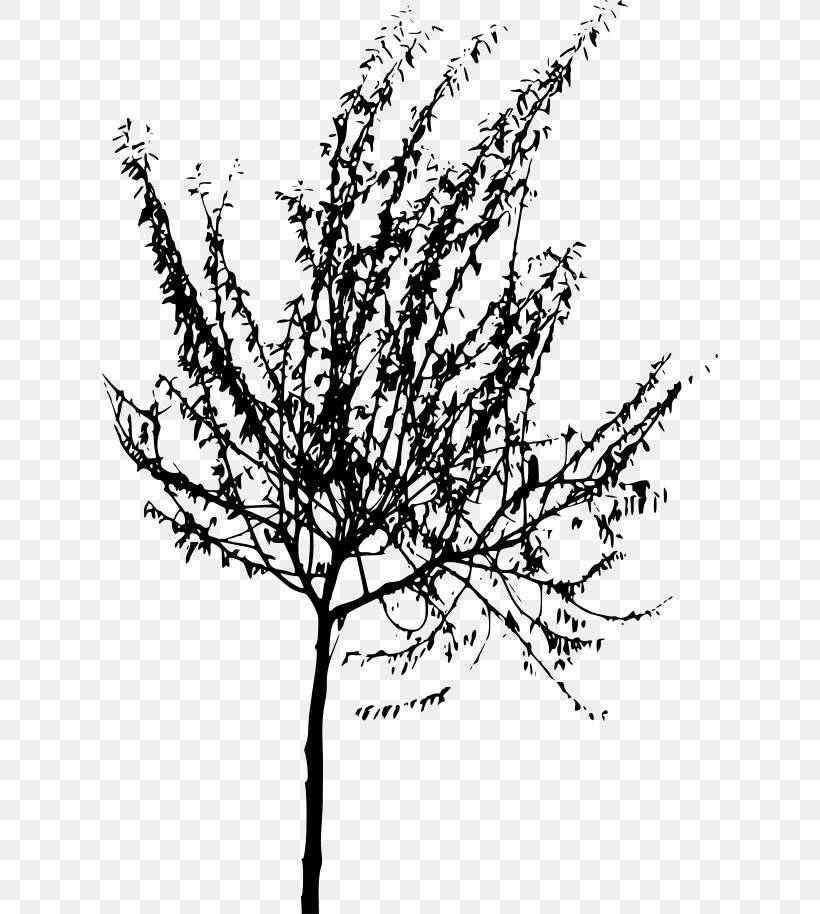 Twig Black And White Tree Line Art Clip Art, PNG, 616x914px, Twig, Black And White, Branch, Coloring Book, Drawing Download Free