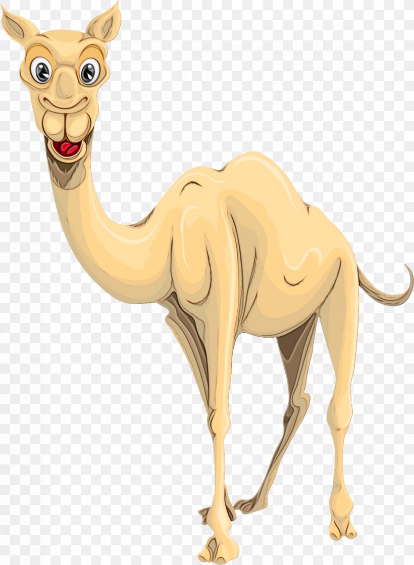Bactrian Camel Camel, PNG, 1198x1635px, Bactrian Camel, Animal Figure, Arabian Camel, Camel, Camelid Download Free