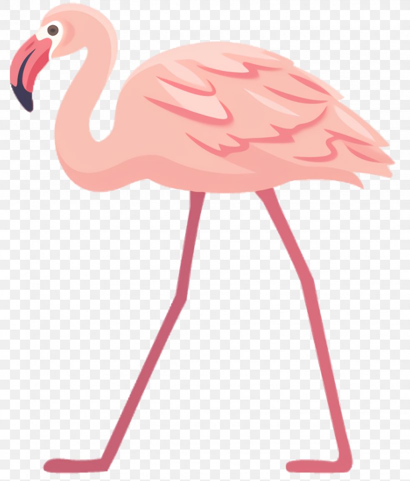 Pink Flamingo, PNG, 1028x1208px, Beak, Bird, Flamingo, Greater Flamingo, Neck Download Free