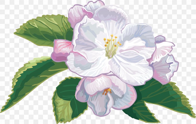 Cut Flowers Apples Cape Jasmine Clip Art, PNG, 3906x2476px, Flower, Apples, Artificial Flower, Blossom, Branch Download Free