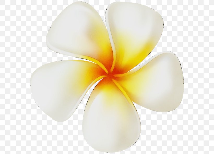 Flowers Background, PNG, 600x592px, Watercolor, Cut Flowers, Flower, Frangipani, Paint Download Free