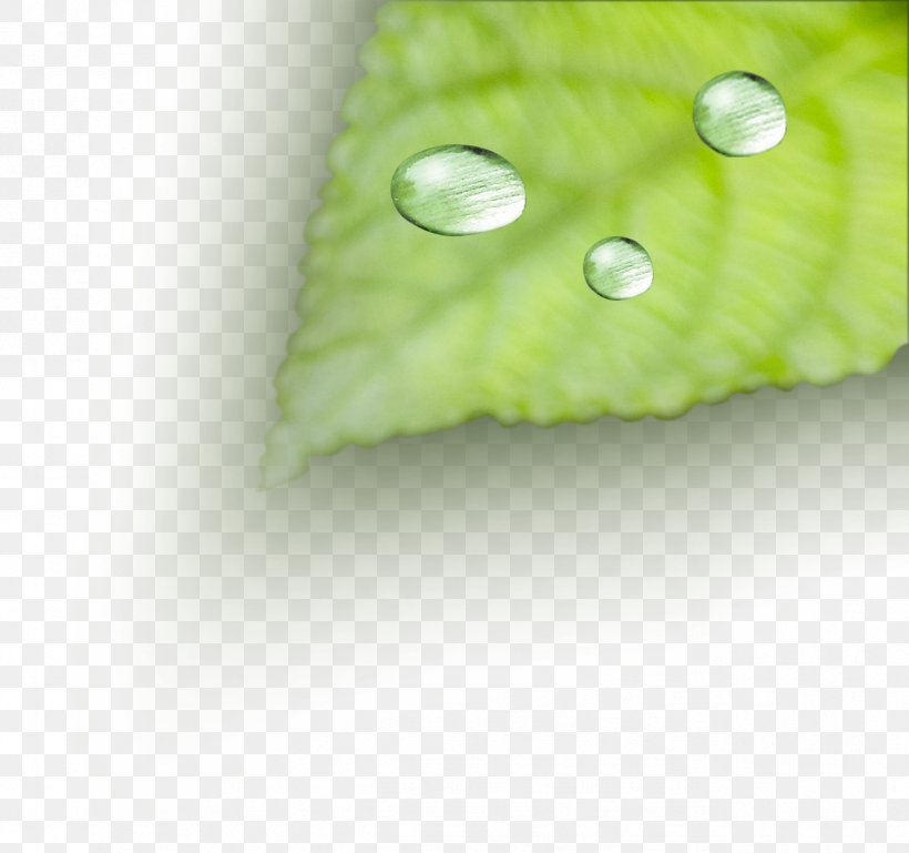Dew Drop, PNG, 1288x1209px, Dew, Drop, Fundal, Grass, Green Download Free