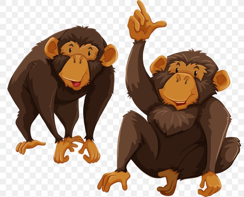 Gibbon Primate Monkey Illustration, PNG, 800x662px, Gibbon, Ape, Bear, Big Cats, Carnivoran Download Free