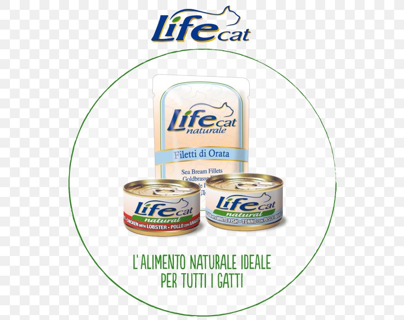 Cat Brand Product, PNG, 568x650px, Cat, Brand Download Free