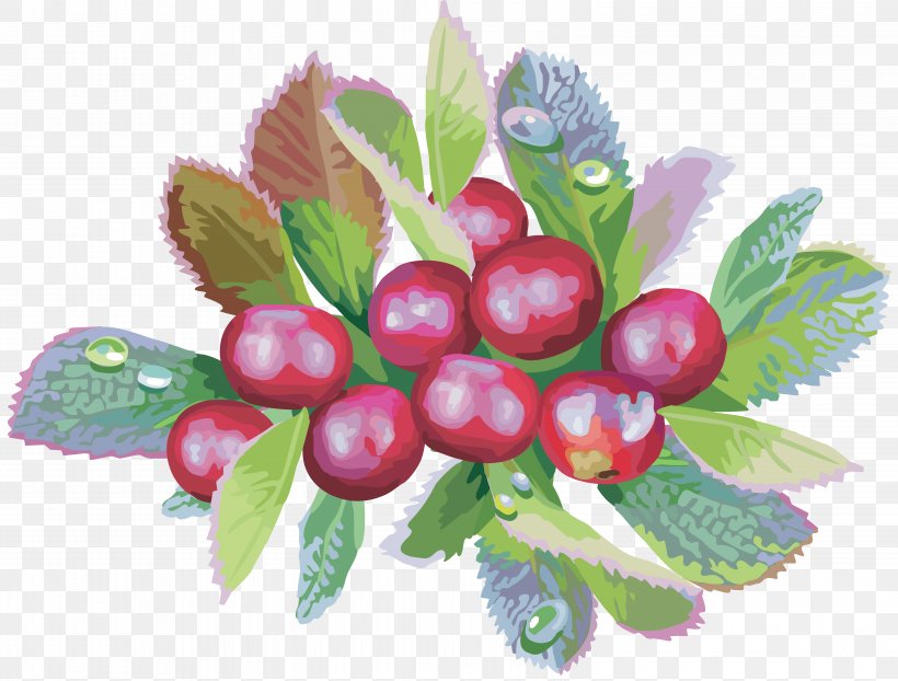 Bilberry Food Cranberry, PNG, 6409x4868px, Berry, Bilberry, Branch, Cherry, Chokeberry Download Free