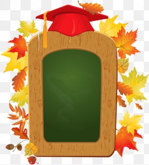 Dr. Cartoon Maple Leaf Hat Decorated Blackboard - Blackboard School Graduation Ceremony Clip Art PNG