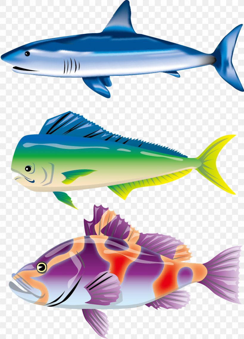 Blue Shark Fish Illustration, PNG, 877x1216px, Shark, Blue Shark, Cartilaginous Fish, Cartoon, Drawing Download Free