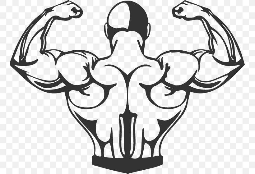 Bodybuilding Muscle Exercise Cartoon, PNG, 755x560px, Bodybuilding, Arm,  Artwork, Biceps, Black And White Download Free