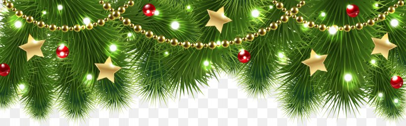 Christmas Decoration Christmas Tree Clip Art, PNG, 6179x1931px, Rudolph, Biome, Branch, Christmas, Christmas Decoration Download Free