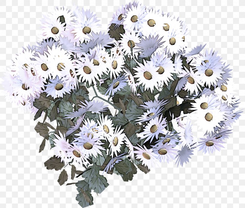 Daisy, PNG, 1600x1358px, Flower, Camomile, Chamomile, Cut Flowers, Daisy Download Free