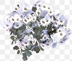 Daisy Petal - Daisy PNG
