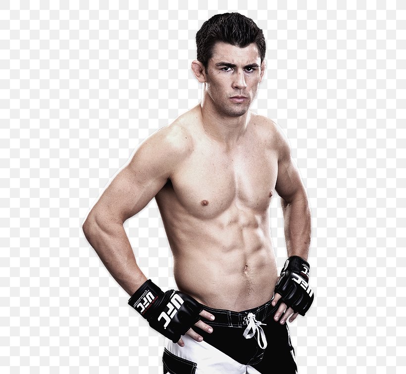 Dominick Cruz UFC On Versus 6 Mixed Martial Arts Bantamweight The Alliance, PNG, 504x756px, Watercolor, Cartoon, Flower, Frame, Heart Download Free