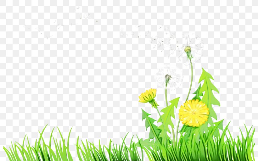 Green Grass Background, PNG, 800x512px, Poppy, Amaryllis Family, Cartoon, Flower, Grass Download Free