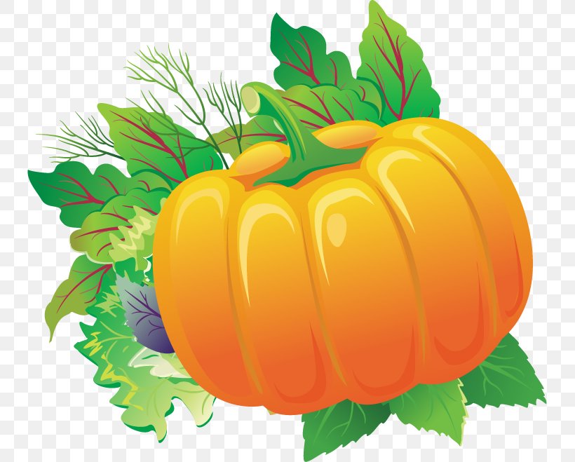 Pumpkin Calabaza Gourd, PNG, 741x659px, Pumpkin, Artworks, Calabaza, Commodity, Cucurbita Download Free