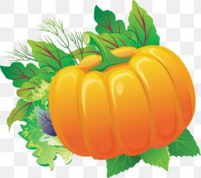 Pumpkin Vegetables Vector Material - Pumpkin Calabaza Gourd PNG