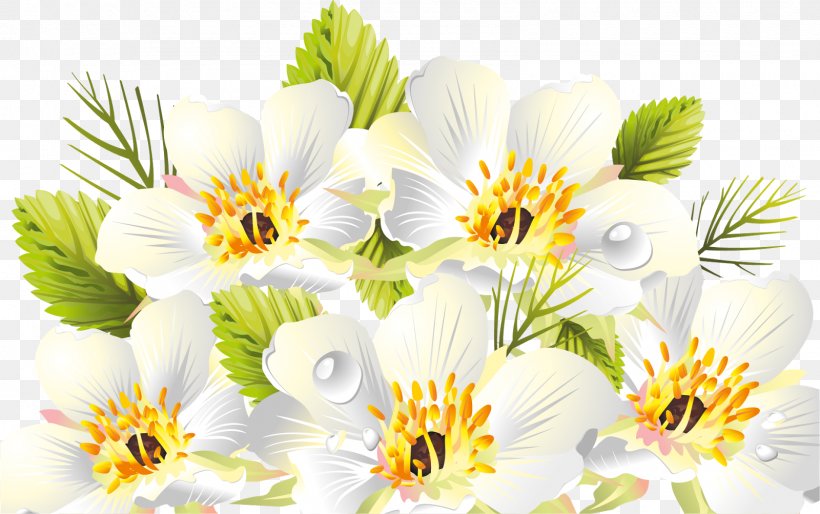 Flower Clip Art, PNG, 1600x1003px, Flower, Border Art, Cdr, Chrysanths, Cut Flowers Download Free