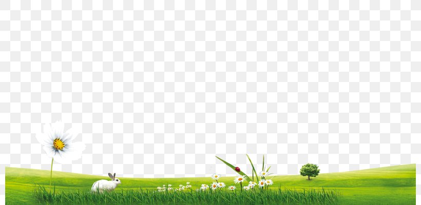 Grassland Crop Golf Balls, PNG, 800x400px, Grassland, Agriculture, Computer, Crop, Daytime Download Free