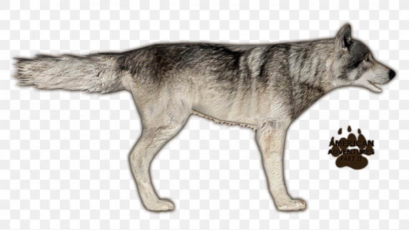 Zoo Tycoon 2 Czechoslovakian Wolfdog Saarloos Wolfdog Coyote Eastern Wolf, PNG, 1024x576px, Zoo Tycoon 2, Alaskan Tundra Wolf, Animal, Animal Figure, Arabian Wolf Download Free