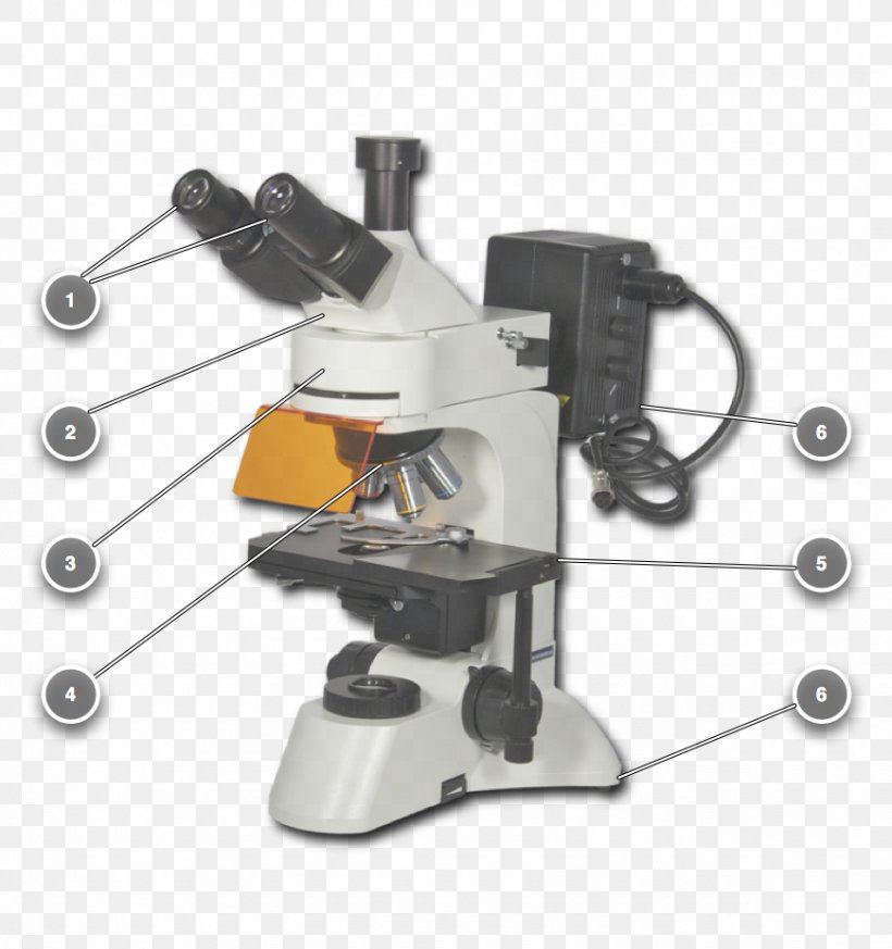 Microscope Product Design Angle, PNG, 870x927px, Microscope, Computer Hardware, Hardware, Machine, Optical Instrument Download Free