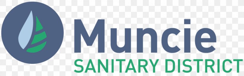 Muncie Organization Compressed Natural Gas Business Logo, PNG, 1000x313px, Muncie, Advertising, Blue, Brand, Business Download Free