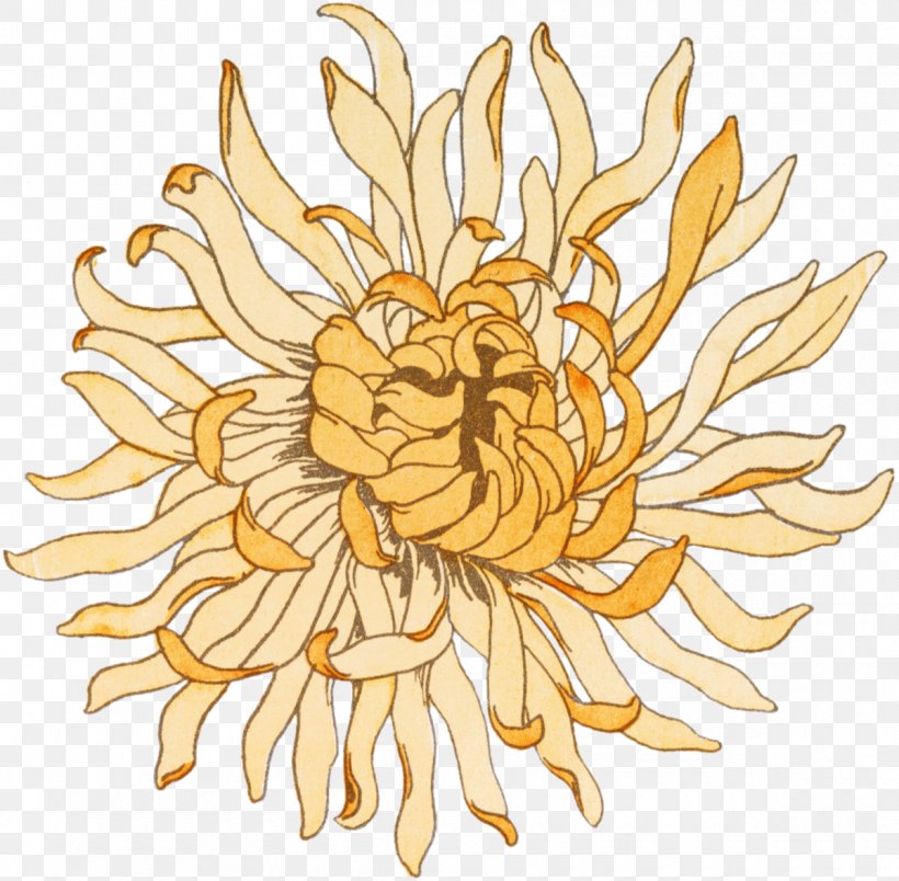 Chrysanthemum Artist Cut Flowers, PNG, 1200x1177px, Chrysanthemum, Art, Artist, Chrysanths, Cut Flowers Download Free