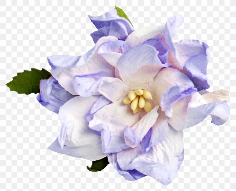 Flower Blue Floral Design Color Image, PNG, 843x686px, Flower, Artificial Flower, Blue, Bouquet, Color Download Free