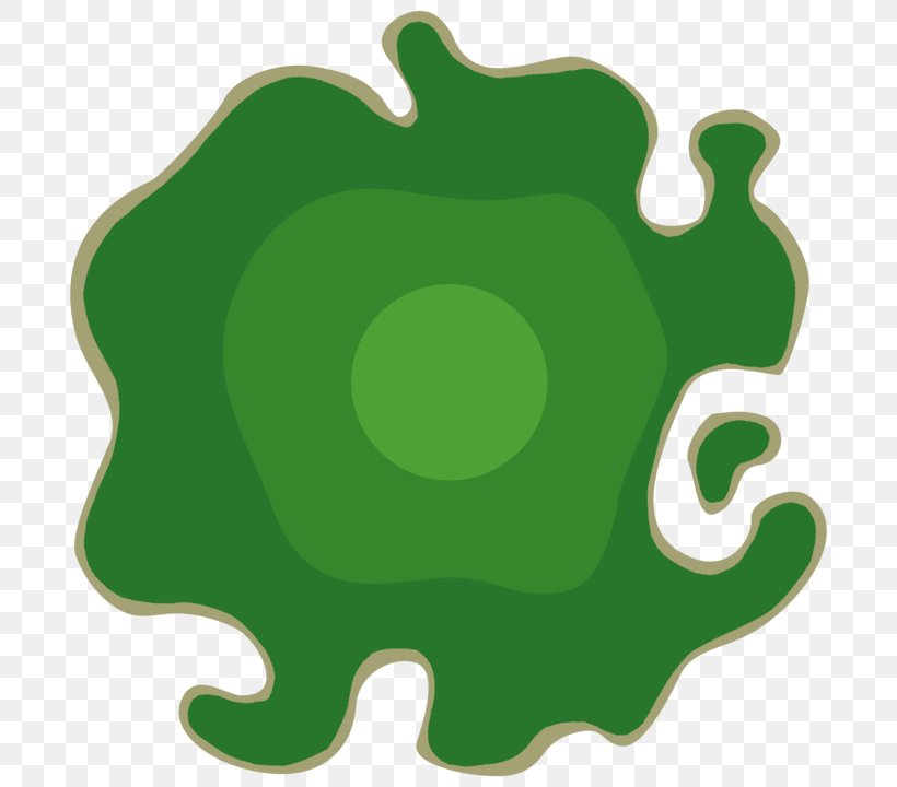 Amphibian Clip Art, PNG, 720x720px, Amphibian, Grass, Green, Leaf, Organism Download Free