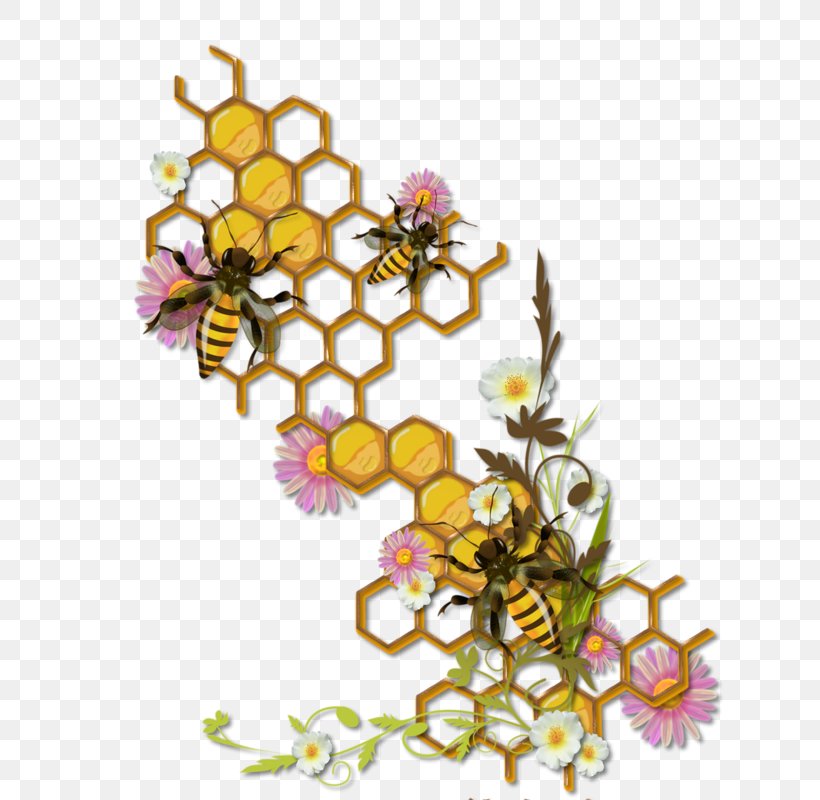 Beehive Insect Honey Bee Bumblebee, PNG, 636x800px, Bee, Art, Beehive, Branch, Bumblebee Download Free