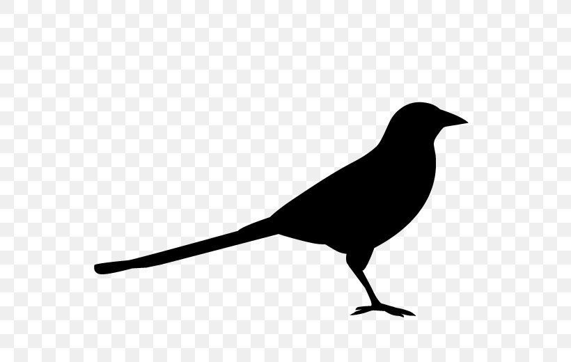 Logo Design American Crow Eurasian Magpie Silhouette, PNG, 600x520px, Logo, American Crow, Beak, Bird, Blackbird Download Free