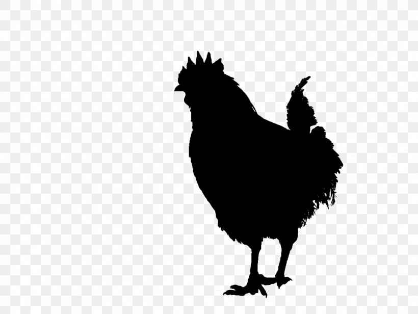 Rooster Chicken Fauna Silhouette Font, PNG, 2580x1939px, Rooster, Beak, Bird, Black, Chicken Download Free